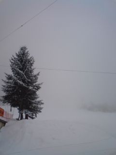 3月2日の蔵王上の台