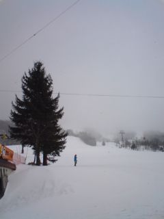 3月10日の蔵王上の台