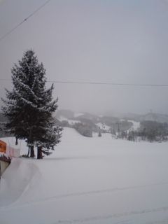 3月30日の蔵王上の台