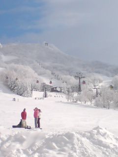 晴れて来ました!