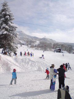 あけましておめでとうございます