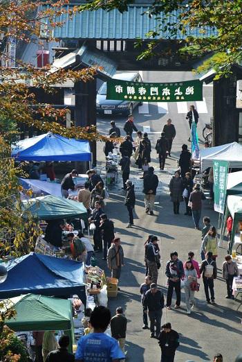 【出品しました】池上本門寺朝市