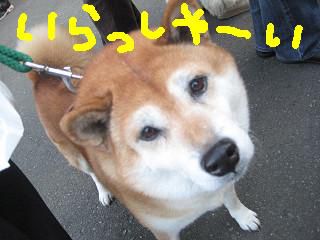 【池上朝市】今年最後の朝市☆盛り上がりました！