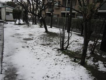 【今月の予定】3月です。…3月です。