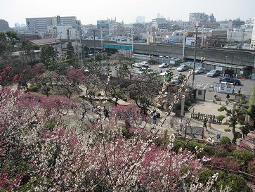 【出品します】池上本門寺 朝市