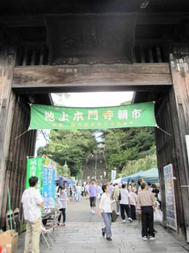 【出品します】池上本門寺朝市