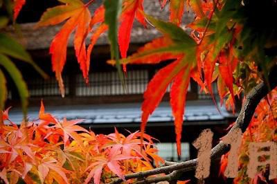 【今月の予定】１１月