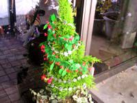 クリスマスに向けて