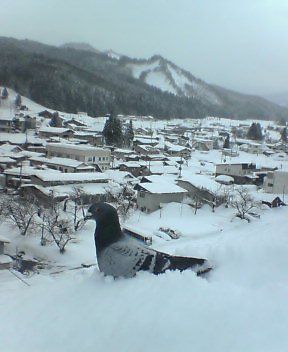 屋根の雪下ろし