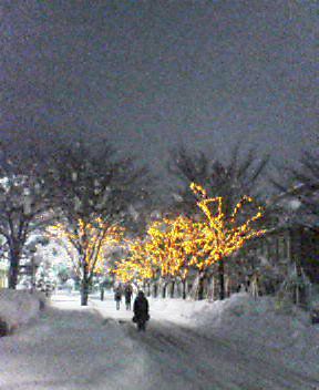 イルミネーション