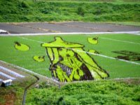 田んぼアート