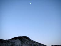 今年も一年お世話になりました