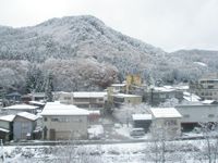 久しぶりの雪