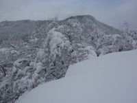 屋根の雪下ろし