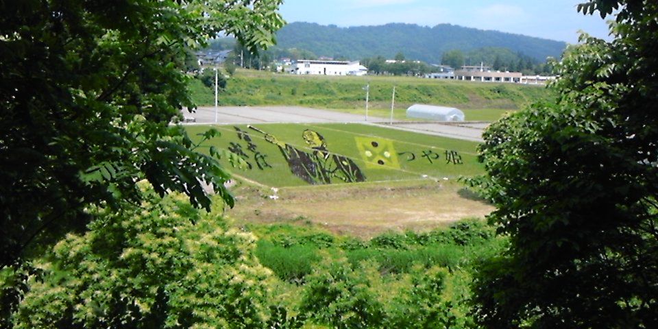 田んぼアート２０１２