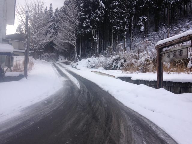 かまくら作れず