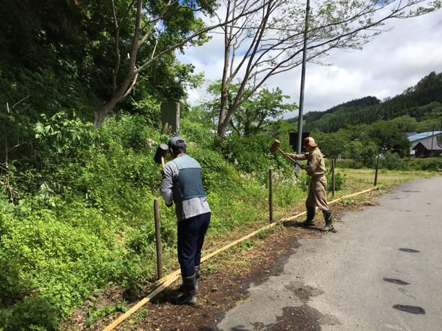 ほたるまつり作業　柵作り