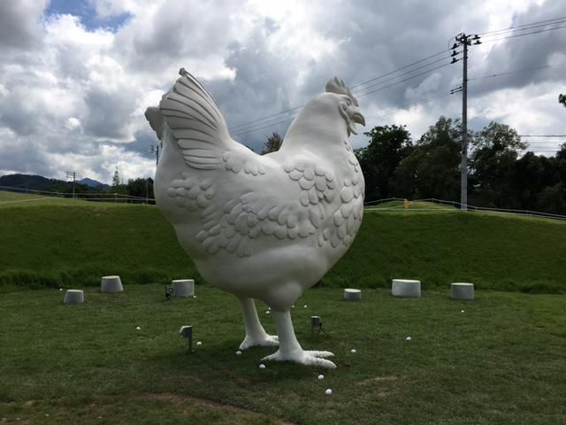 ウフウフファーム