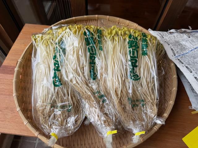 豆もやし