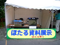 7月3日(日)ホタル祭