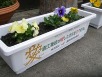 花と愛で出迎え