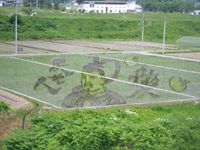田んぼアート2008