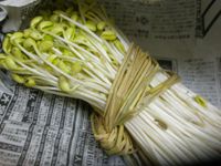 小野川温泉豆もやし