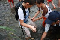 リバーチャレンジ2009