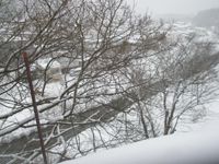 屋根の雪下ろし