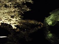 松ヶ崎公園ライトアップ