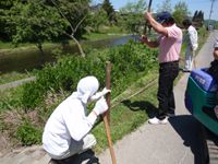 ほたるまつり準備