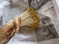 小野川温泉 豆もやし