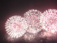 長岡花火大会2011