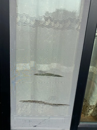 『網戸張替え』 泉区K様邸