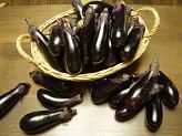 「秋なすは嫁に食わすな」