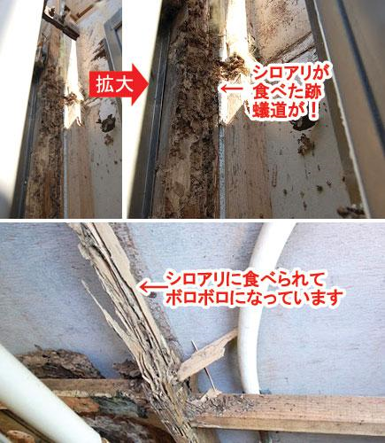 【屋内リフォーム】白あり防除工事　名取市S様邸