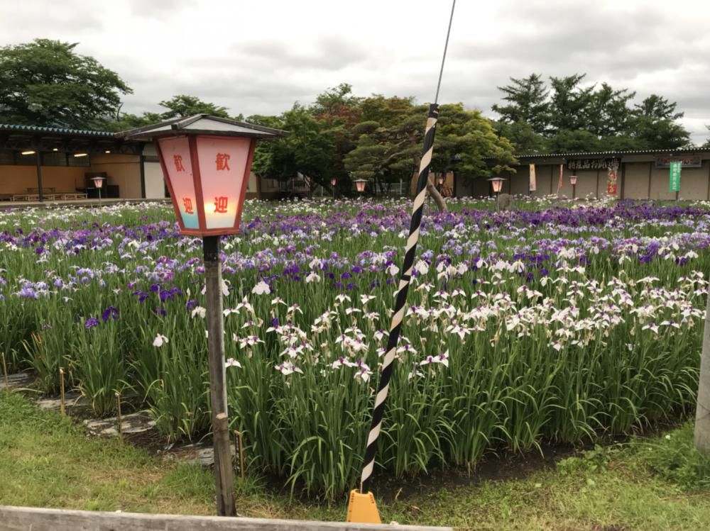 長井経和会 ６月例会 川床茶屋