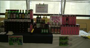 白石市・こけし祭り