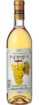 今月のプレゼント