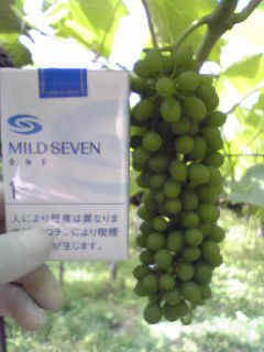 現在のデラウェアです