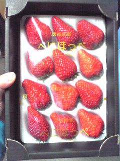いちご・紅ホッペ