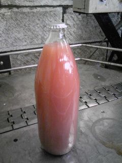 デラウェアMC発酵