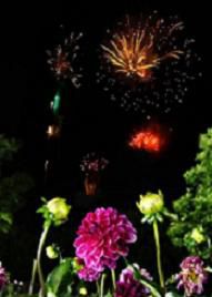 まんまるまつり情報