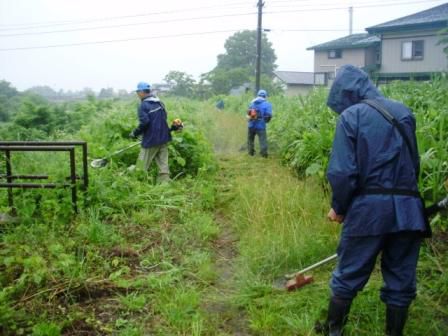 小松地区アダプト作業の事前草刈りと雑木伐採作業を行いました!!