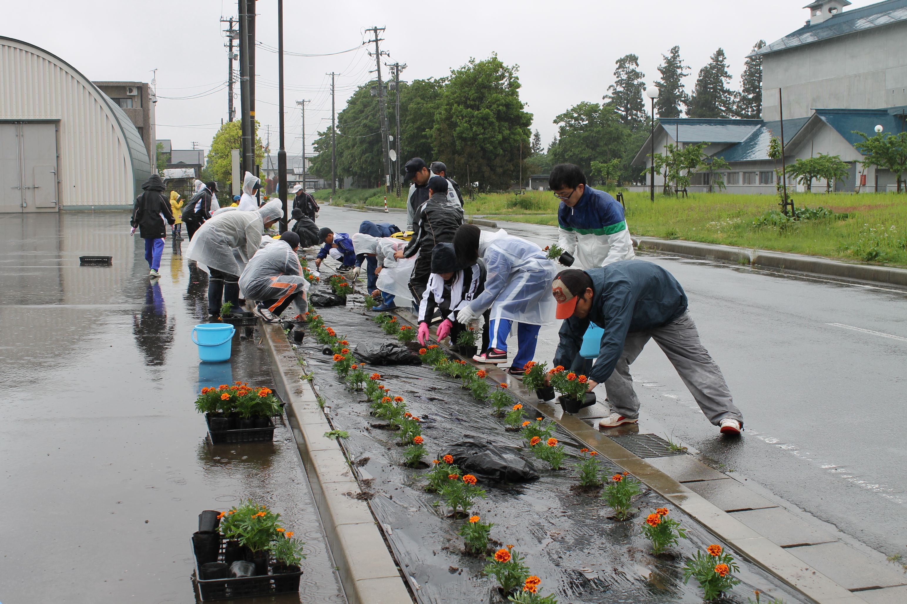 春を告げる「花いっぱい運動」を実施!!