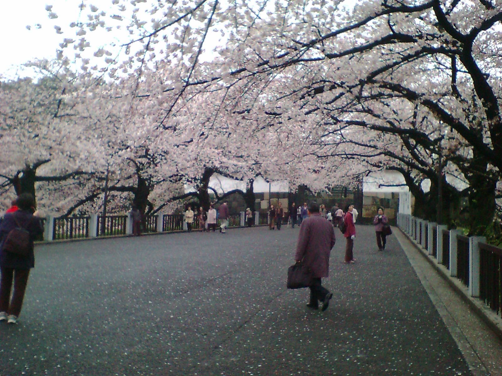 靖国神社でフランク販売してきました。