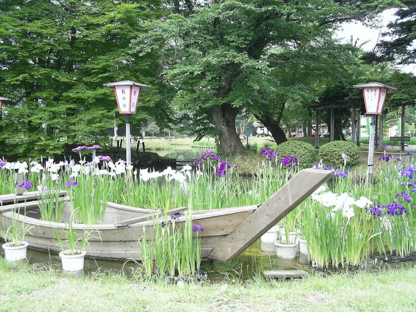 あやめ公園、いよいよ開園式！