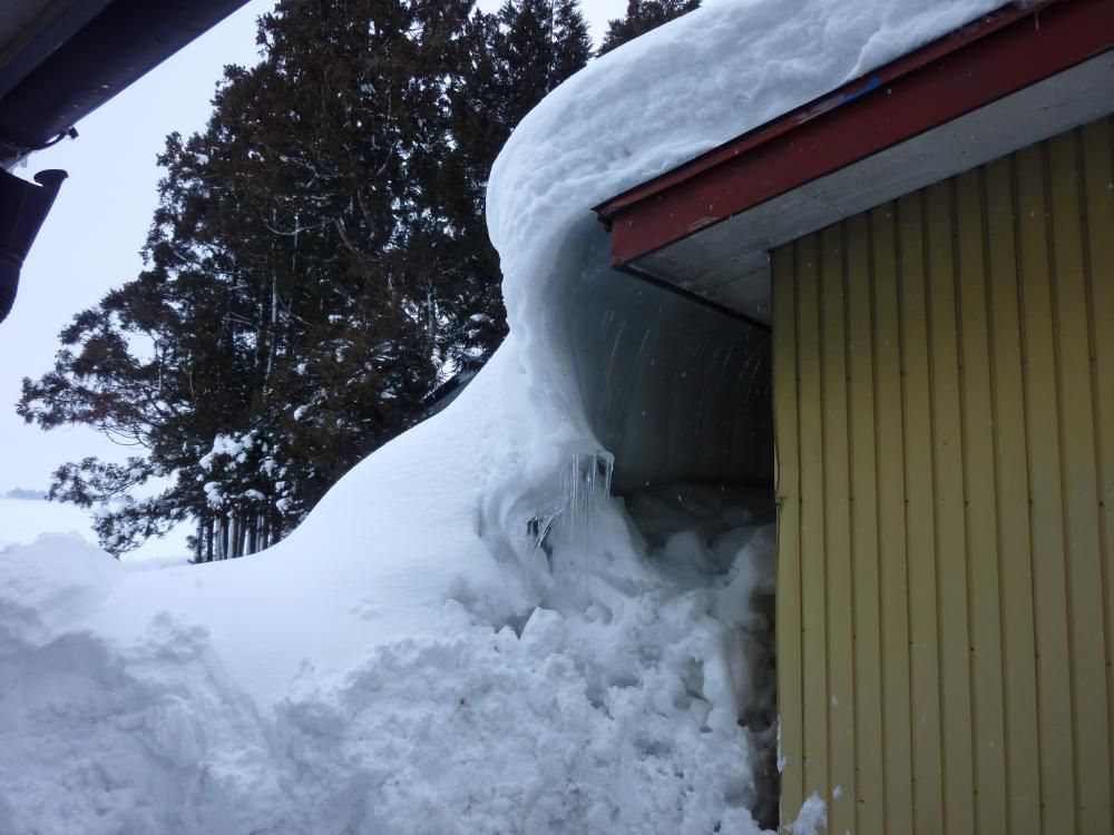 今年は豪雪！