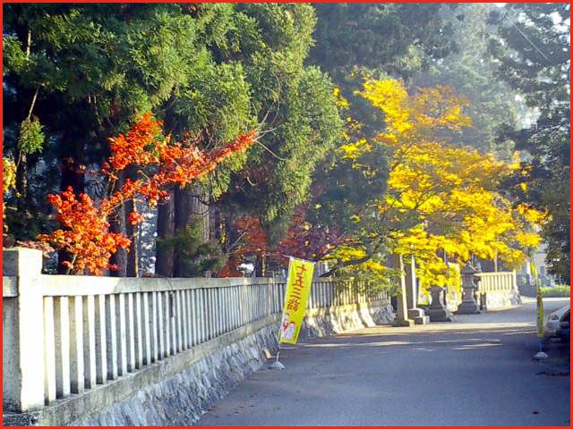 ◆里の紅葉◆