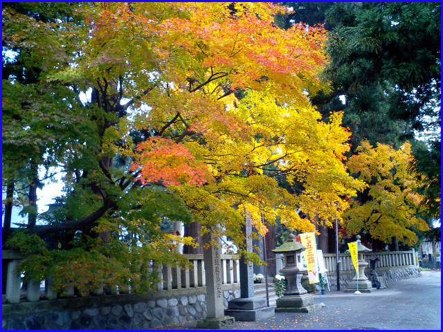 ◆里の紅葉◆晩秋